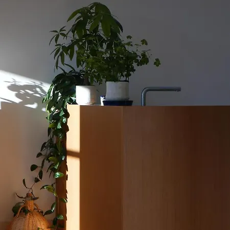 Apartamento Excelentes Vistas En La Plaza De La Verdura