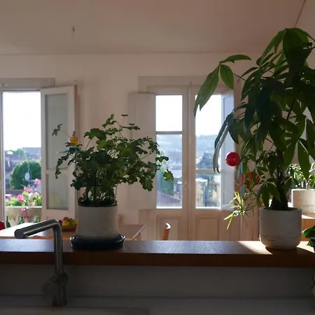 Apartamento Excelentes Vistas En La Plaza De La Verdura